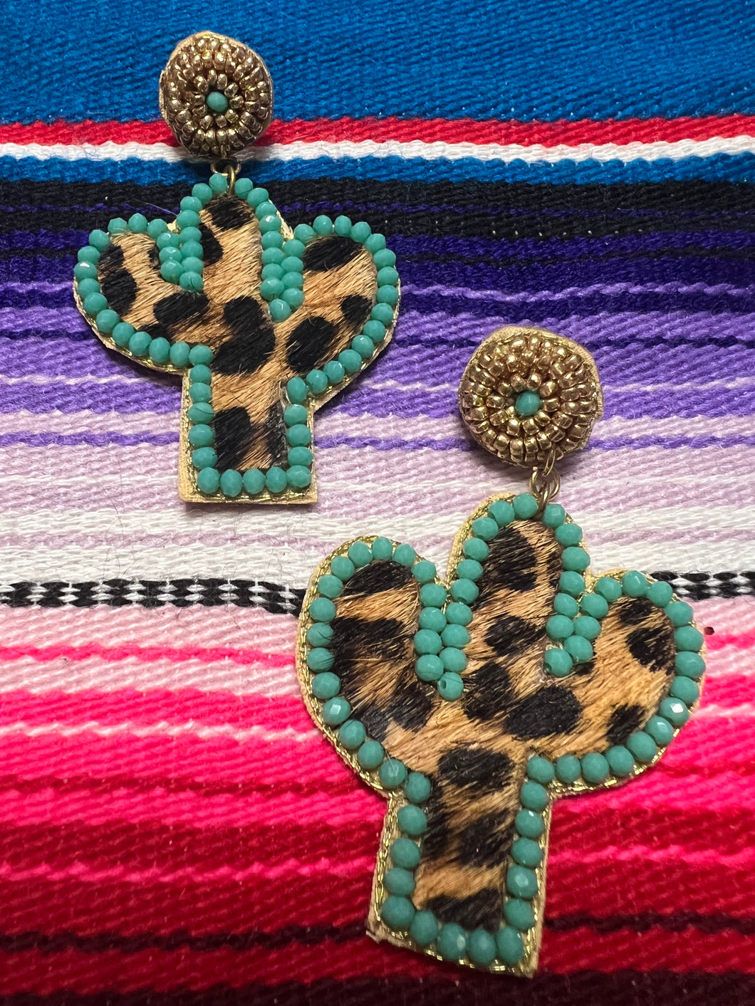 Rodeo cactus
